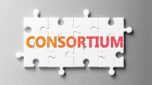 What Is Loss of Consortium?