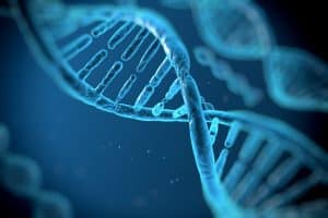 The Role of DNA Evidence in Criminal Defense Cases 