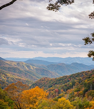 information for visitors